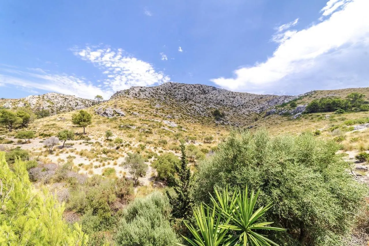 Nature Villa Alcudia   Alcudia (Mallorca)